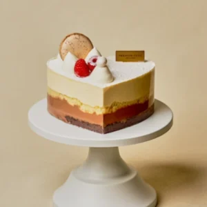 Vanilla Chocolate Heart Mousse Cake