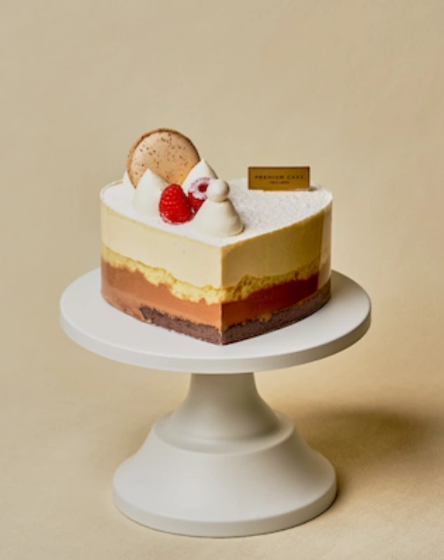 Vanilla Chocolate Heart Mousse Cake