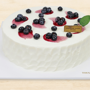 Blueberry Yogurt #3
