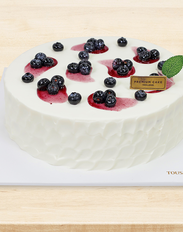 Blueberry Yogurt #3
